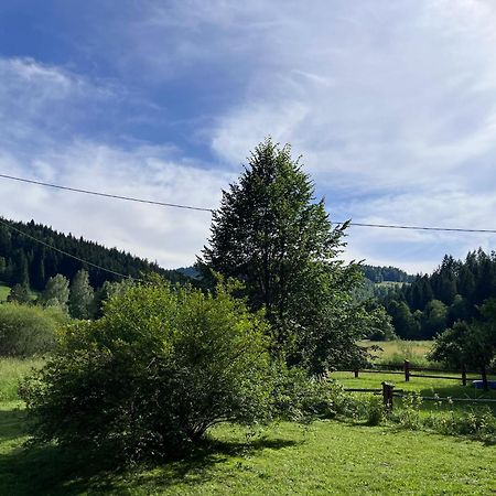 Drewniany Domek Bb Nad Rzeka Powrożnik 外观 照片