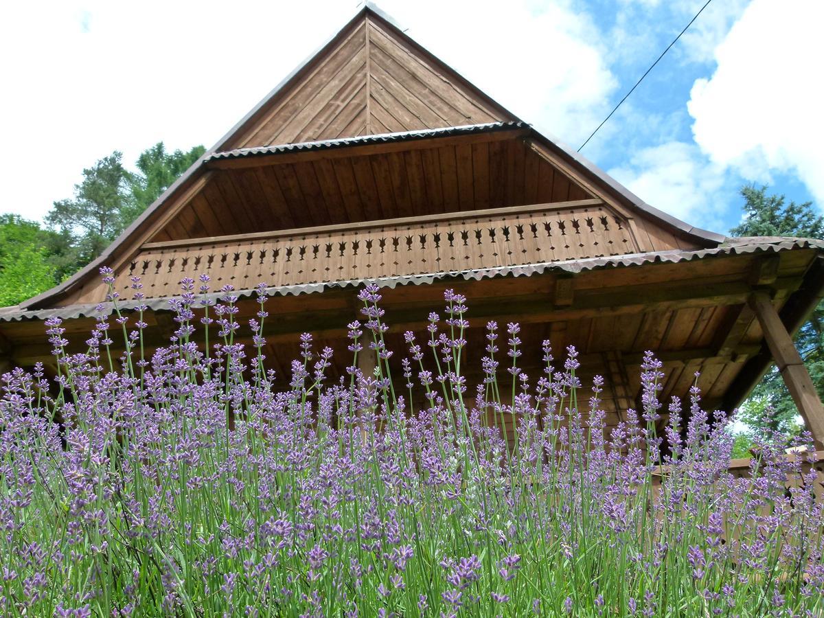 Drewniany Domek Bb Nad Rzeka Powrożnik 外观 照片